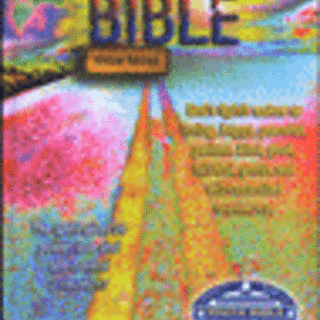 CEV Compact Youth Bible Global Edition, Paperback