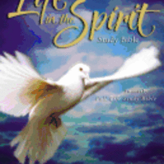 KJV Life in the Spirit Study Bible Bonded Leather