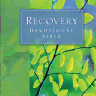 NIV Devotional Recovery Bible, Paperback