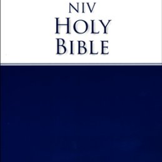 NIV Economy Bible New Edition Paperback