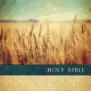 Premium Value Slimline Bible-NLT-Large Print