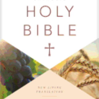 Catholic NLT Holy Bible Reader's Edition