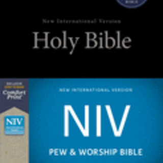 NIV, Pew and Worship Bible, Hardcover, Black (Special)