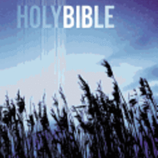 NIV Value Outreach Bible