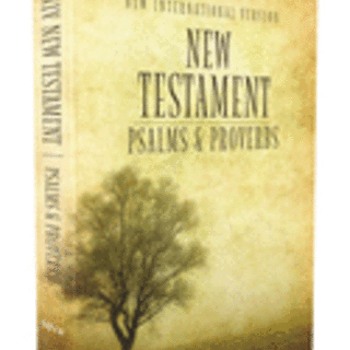 NIV New Testament with Psalms and Proverbs