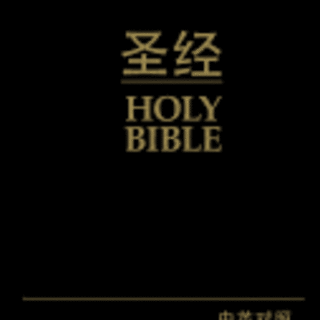 Chinese/English Bible-PR-FL/NIV