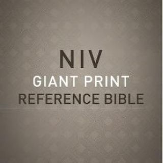 NIV Bibles