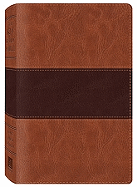 KJV Study Bible Brown Imitation Leather